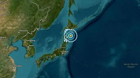 Trzęsienie ziemi u wybrzeży Japonii