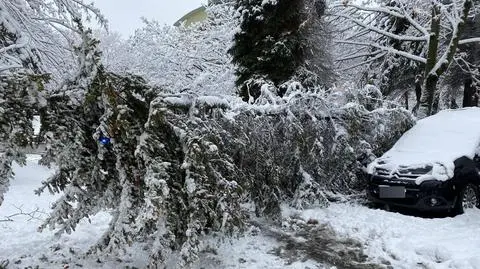 Niedzielne śnieżyce w Polsce