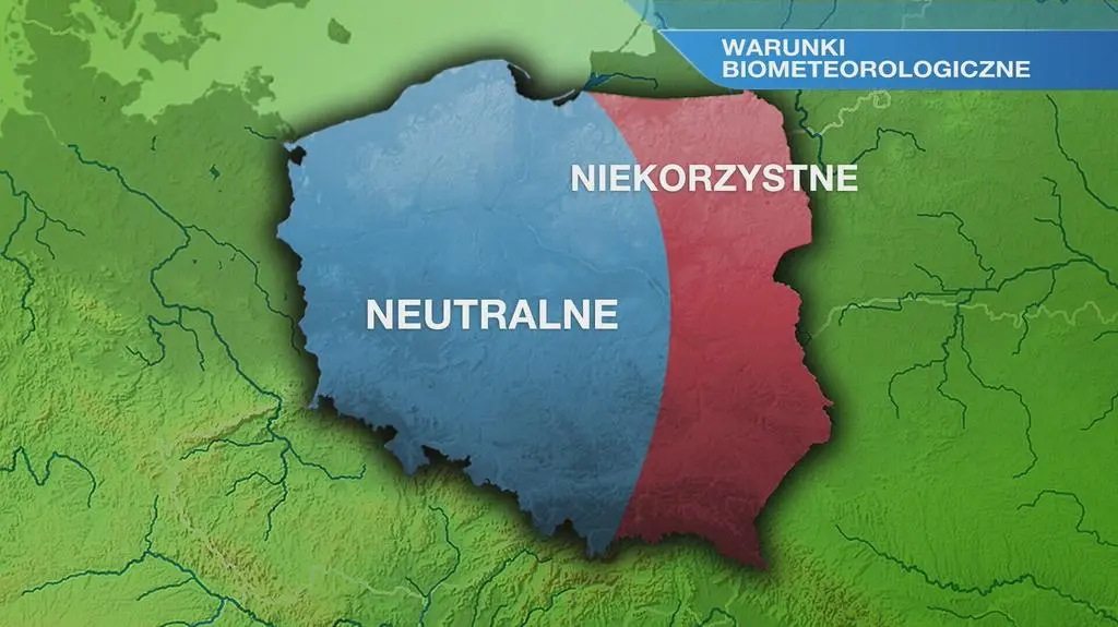 Klatka kluczowa-16254