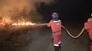 Strażacy walczą z pożarem pod Madrytem