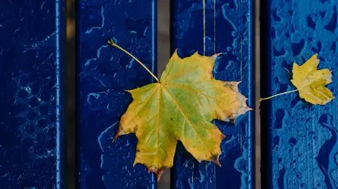 Miejscami będzie deszczowo