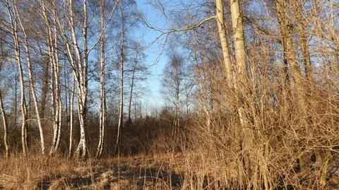 Pogodnie, słonecznie