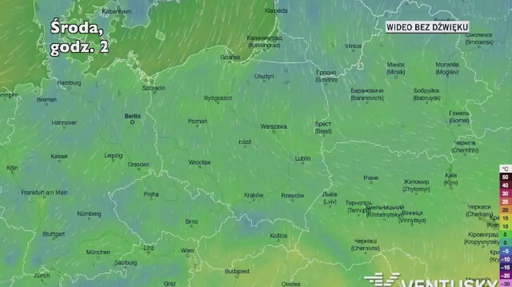 Prognozowana temperatura w najbliższych dniach