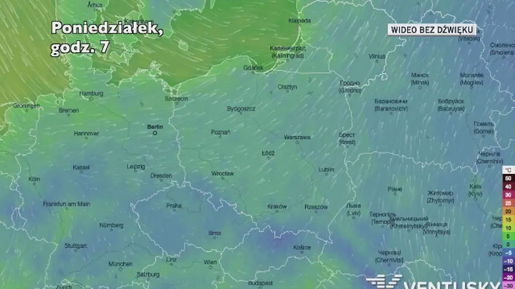 Prognozowana temperatura w najbliższych dniach