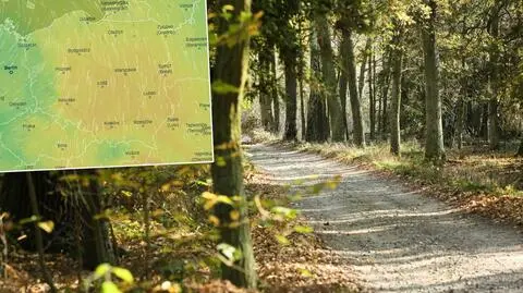 Prognoza pogody na najbliższe dni