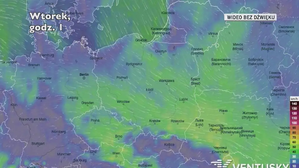 Prognozowane porywy wiatru w najbliższych dniach