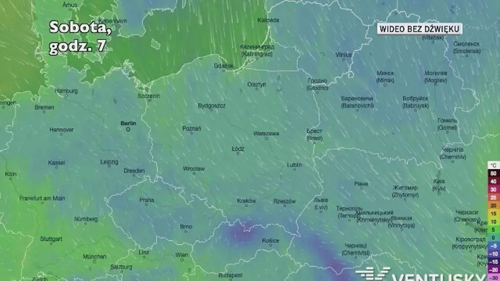Prognozowana temperatura w najbliższych dniach (Ventusky