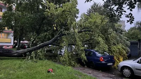 Dwie osoby ranne, ponad 2500 interwencji po nawałnicach w Polsce