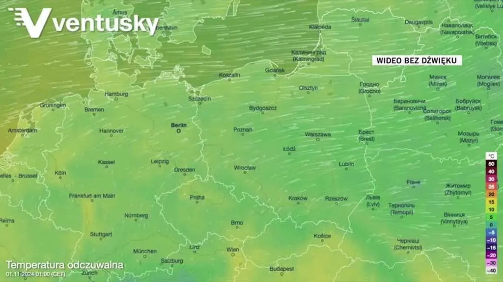 Prognozowana temperatura w kolejnych dniach 
