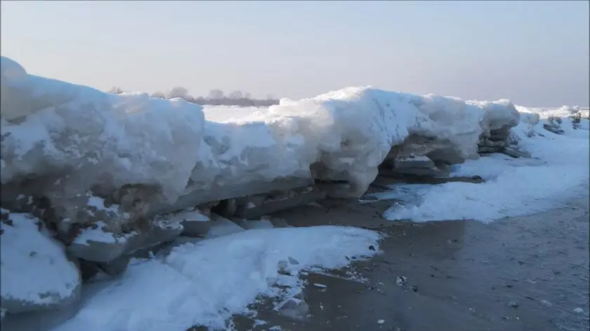 Arktyczny krajobraz na polskiej plaży