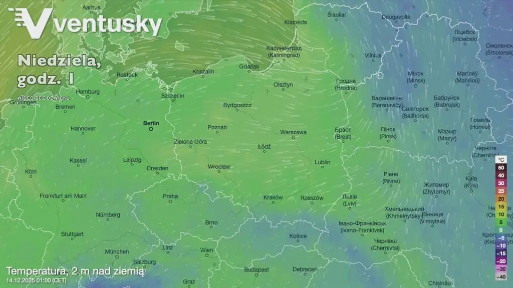 Klatka kluczowa-95310