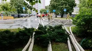 Sprzątanie po nawałnicy w Ostrowiu Wielkopolskim