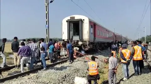 Pociąg zderzył się ze stadem słoni w Indiach