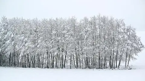 Obfite opady śniegu, śnieg, zima, biało