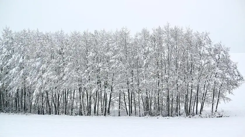 Pogoda na dziś - niedziela 23.11. W kilku regionach zima będzie mocno trzymać