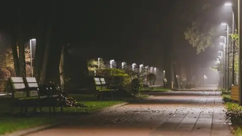 Pogoda na jutro: nocą zrobi się mglisto. W czwartek lokalny deszcz i burze