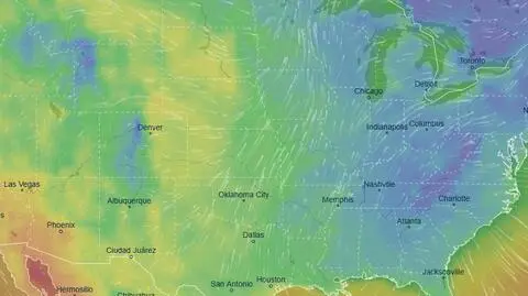 Prognozowana temperatura w USA