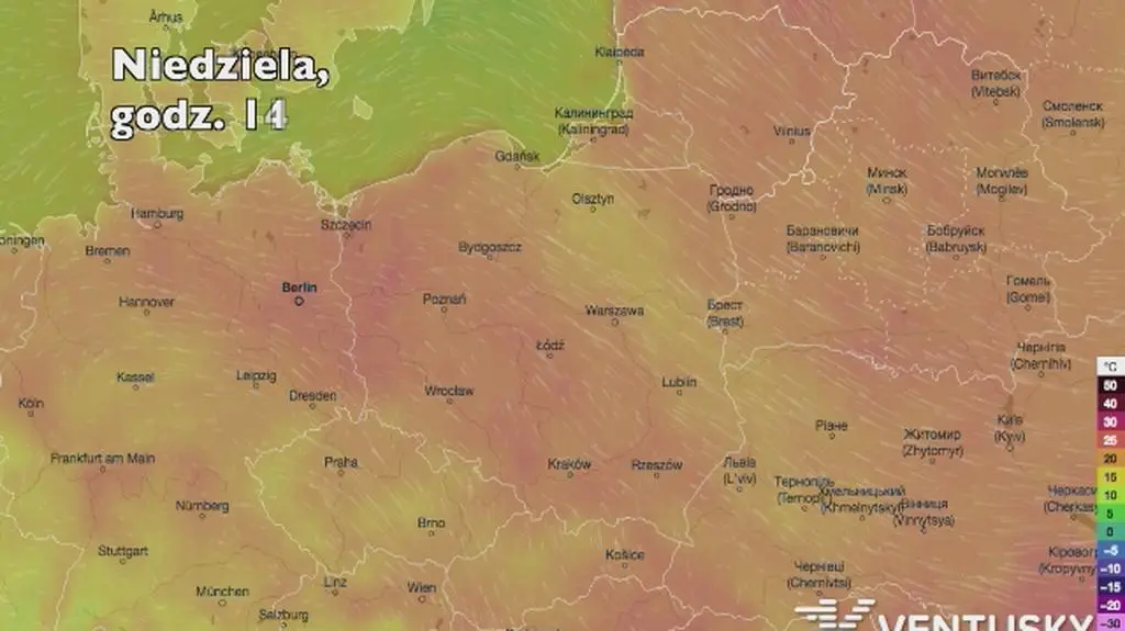 Temperatura w ciągu w kolejnych pięciu dni (Ventusky