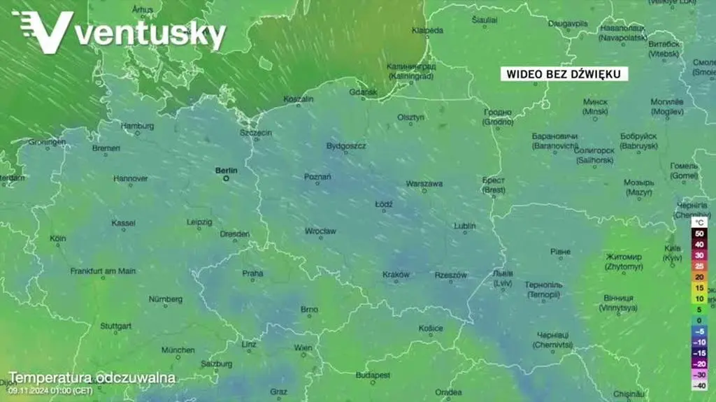 Prognozowana temperatura w kolejnych dniach 