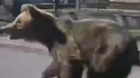 431188283_716472330655693_5557467104411181901_n