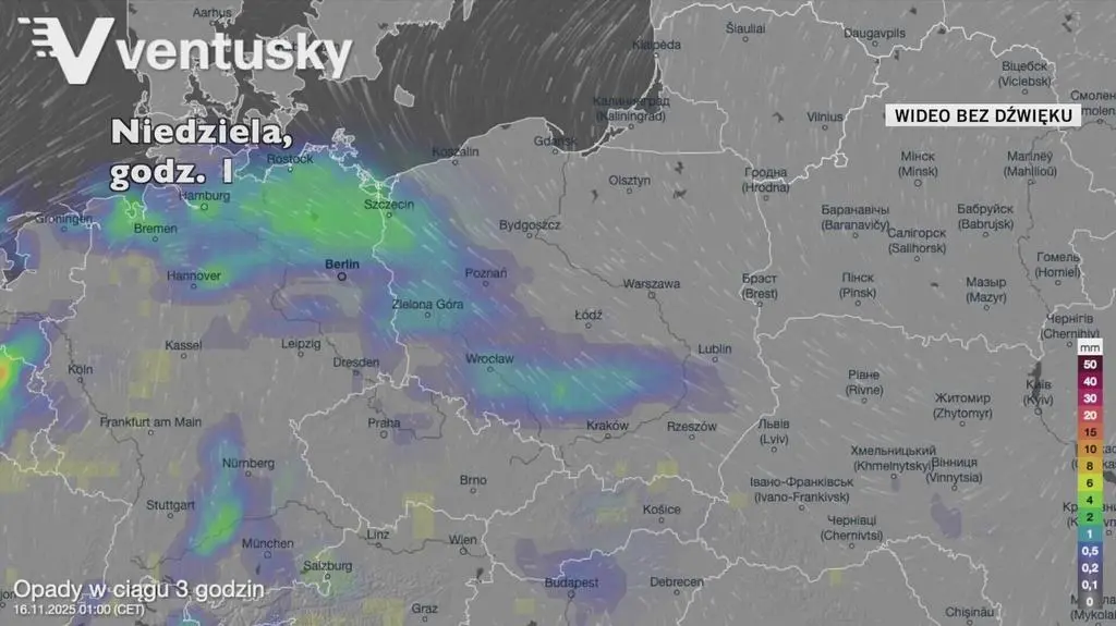 Klatka kluczowa-26599