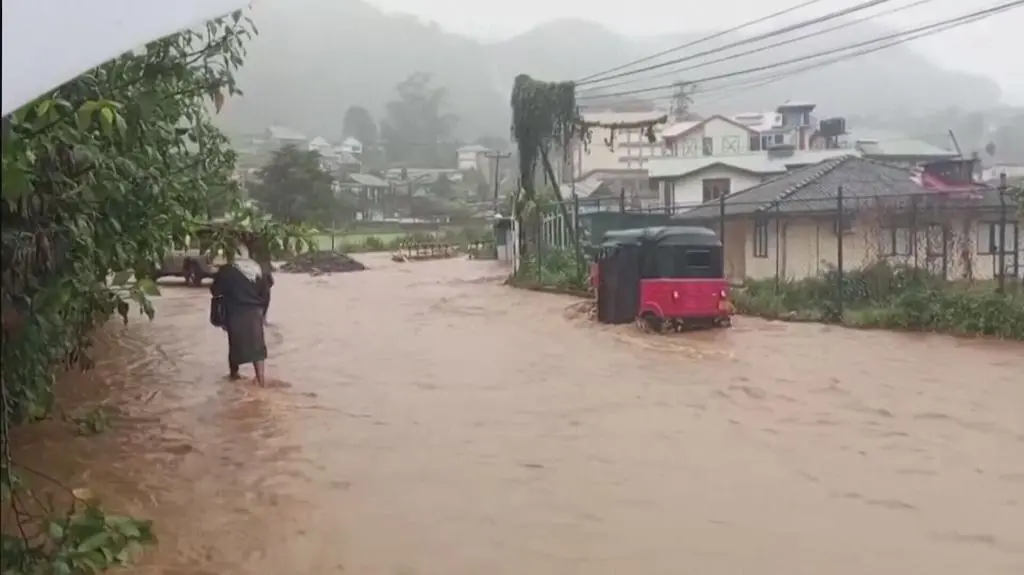 Klatka kluczowa-58288