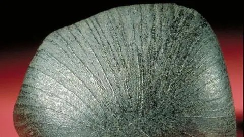 Meteoryt z Marsa zawiera toksynę. Wymiotują przez nią świnie, mogą też ludzie 