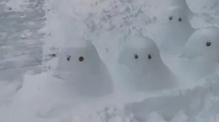 Atak zimy na Podkarpaciu