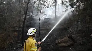 Miejscowość Koolewong w Australii po pożarze