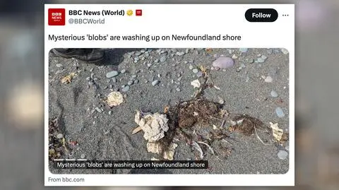 Jak źle wyrobione ciasto. Tajemnicza maź na plaży