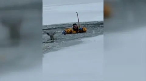 Strażak ratuje jelenia, pod którym zapadł się lód