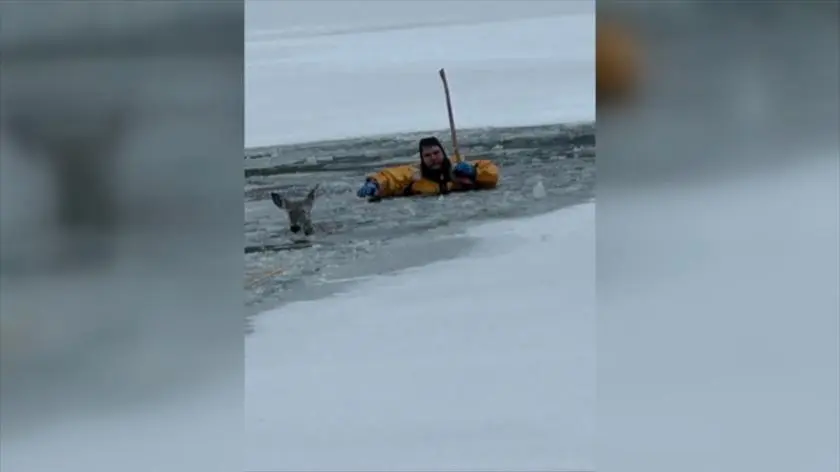 Załamał się pod nim lód. "To nie była typowa akcja ratunkowa"