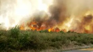 Pożar w okręgu Marmarosz w Rumunii