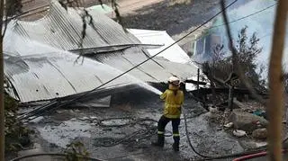 Miejscowość Koolewong w Australii po pożarze