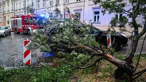 Skutki nawałnicy w Przemyślu