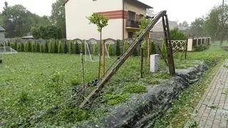 Zniszczenia po burzy w miejscowości Wywła (woj. świętokrzyskie)