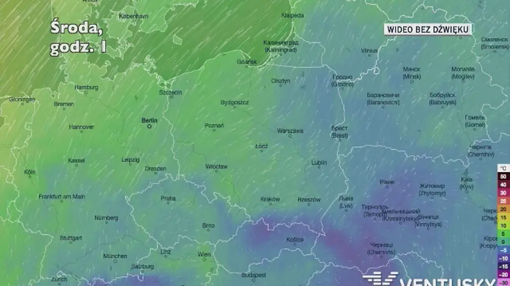 Prognozowana temperatura w najbliższych dniach