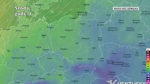 Prognozowana temperatura w najbliższych dniach