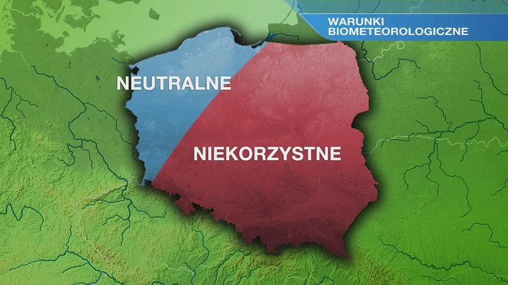 Klatka kluczowa-49928