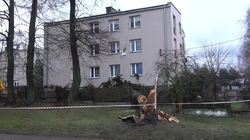 Skutki silnego wiatru w powiecie bialskim (woj