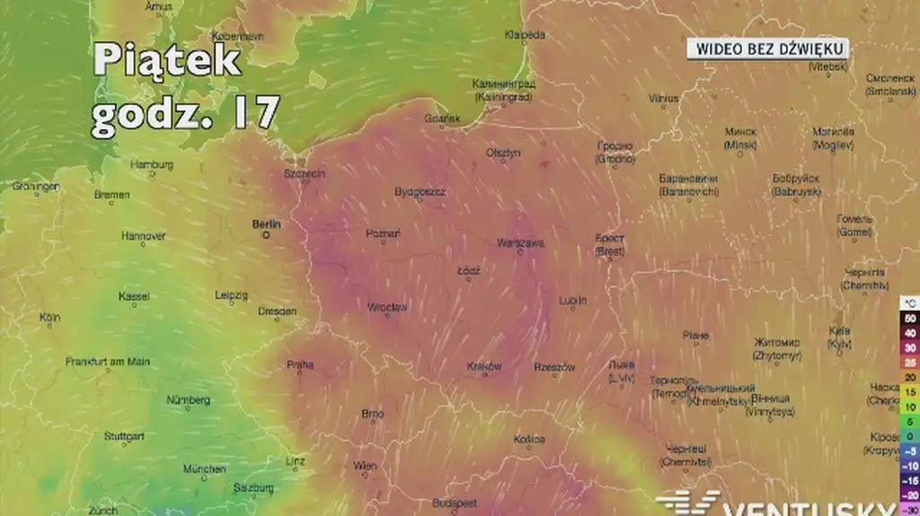 Temperatura w ciągu najbliższych pięciu dni (Ventusky