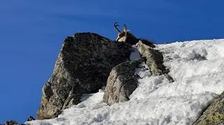 Tatry
