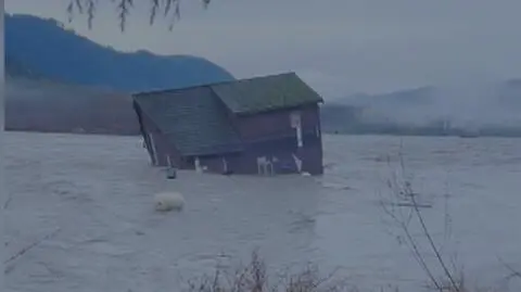 Po ulewnych opadach rzeka Nooksack porwała dom w mieście Deming w stanie Waszyngton