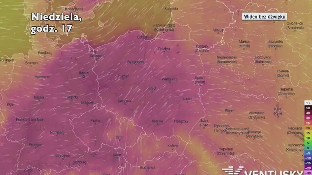 Prognozowana temperatura w następnych dniach (Ventusky