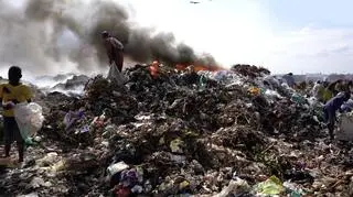 "Największym przegranym tego procederu jest nasza planeta"