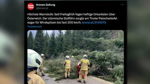 Wiało z prędkością prawie 200 km/h. Zginął mężczyzna przygnieciony przez drzewo