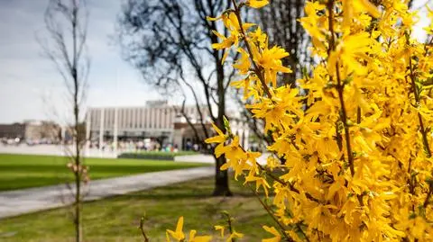 W Wielką Sobotę chmury zasnują niebo, do 13 stopni na termometrach 