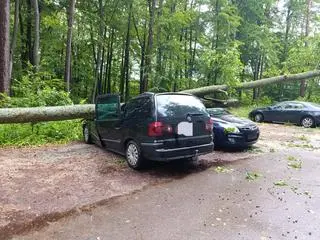 Drzewo spadło na samochody w okolicach Złocieńca