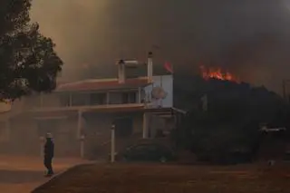 Pożar w okolicach miasta Koropi