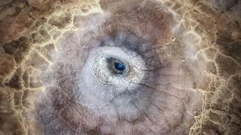 Pole geotermalne Hveravellir - zdjęcie nagrodzone w kategorii "Krajobraz" konkursu National Geographic UK 2025